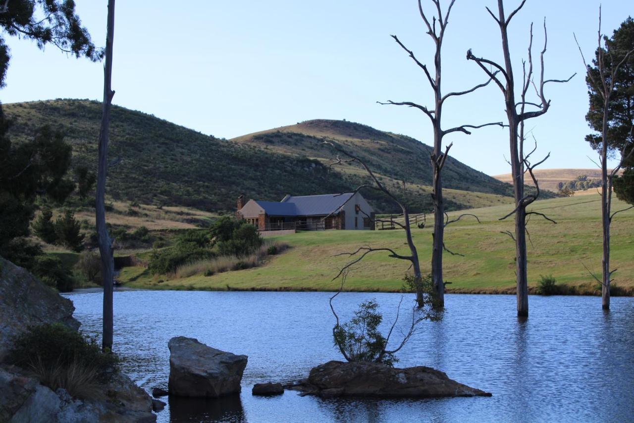 Wetlands Game Lodge Wakkerstroom Eksteriør billede