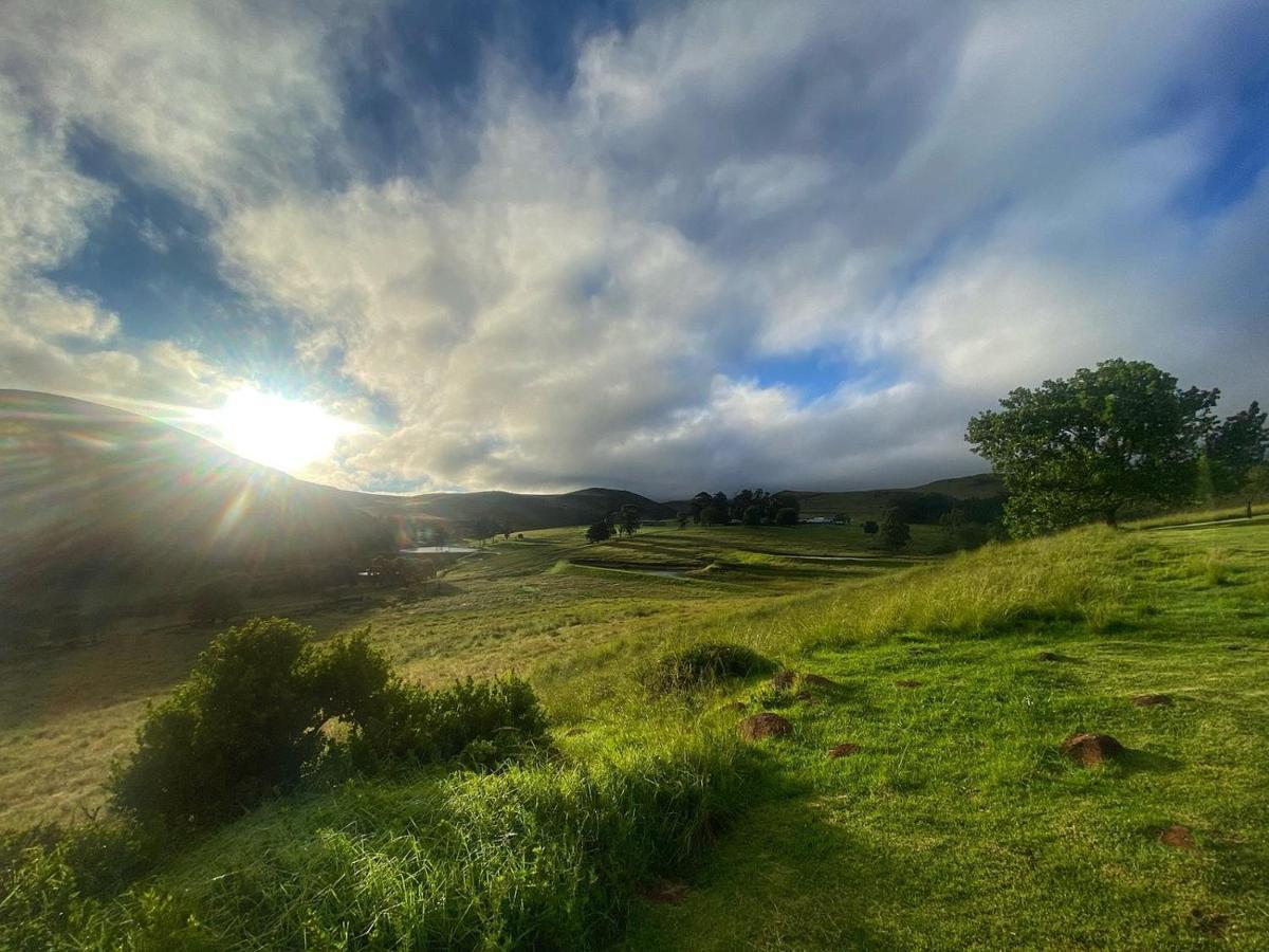 Wetlands Game Lodge Wakkerstroom Eksteriør billede
