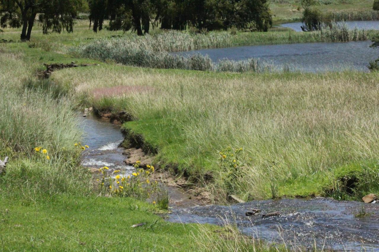 Wetlands Game Lodge Wakkerstroom Eksteriør billede