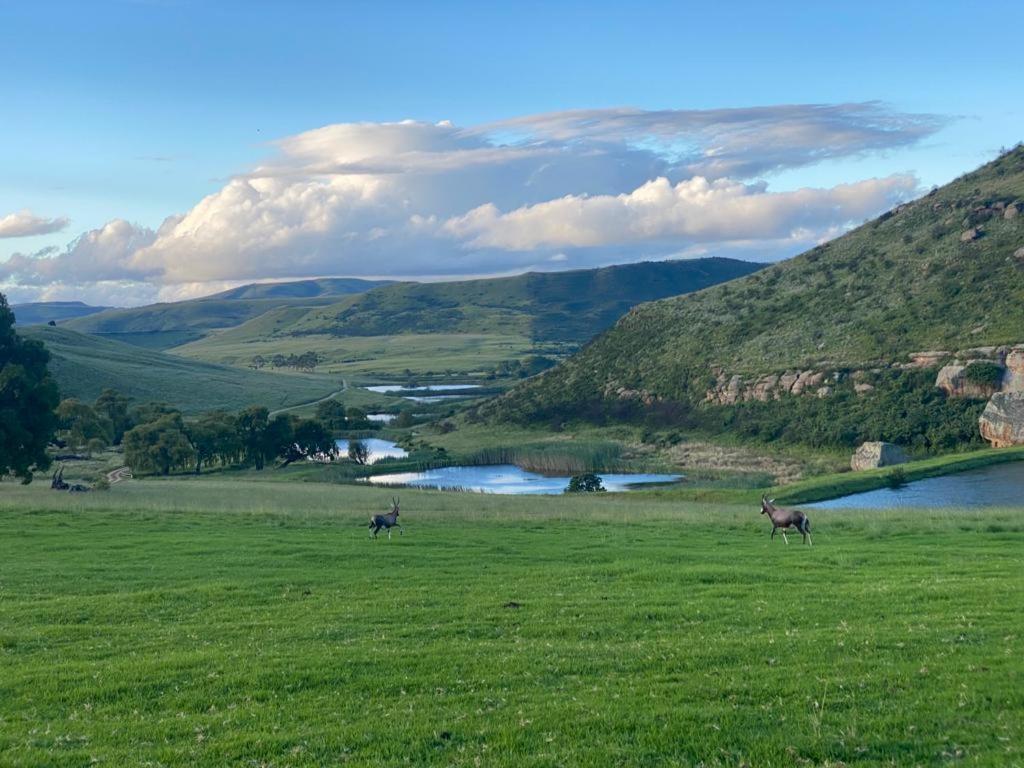 Wetlands Game Lodge Wakkerstroom Eksteriør billede
