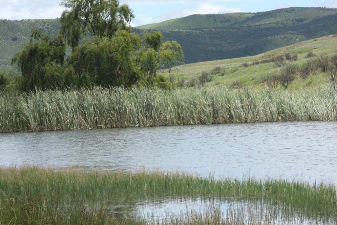 Wetlands Game Lodge Wakkerstroom Eksteriør billede