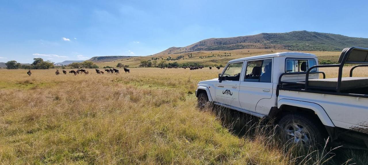 Wetlands Game Lodge Wakkerstroom Eksteriør billede