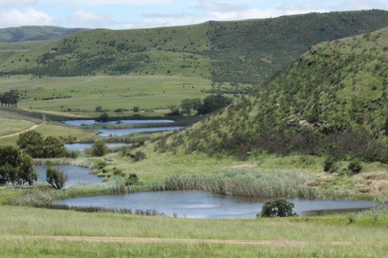 Wetlands Game Lodge Wakkerstroom Eksteriør billede